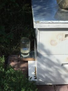 Preparing Honeybee Hives for Winter Image